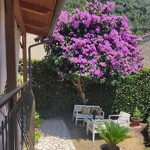 La Bouganville E Il Gelsomino Pietrasanta
